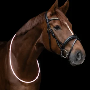 Collier d'encolure cheval LED blanc - Waldhausen