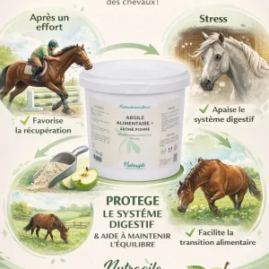 Argile Alimentaire Cheval Pomme Nutragile : Confort Digestif Optimal