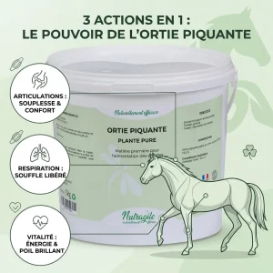 Ortie Piquante Poudre Nutragile : Soutien Articulaire, Respiratoire et Digestif